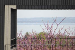 Schneider Architektur GmbH